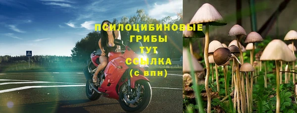 альфа пвп Рославль