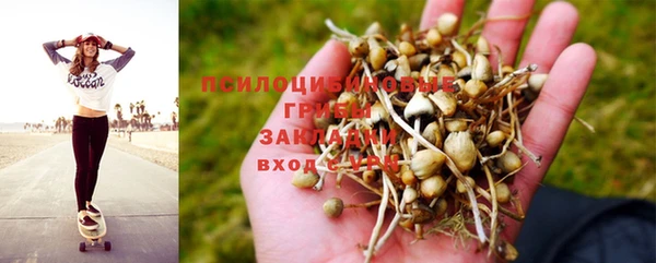 гидропоника Ростов