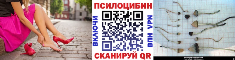 Псилоцибиновые грибы MAGIC MUSHROOMS  KRAKEN ссылка  Новое Девяткино 