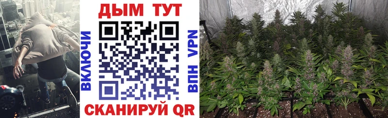 МАРИХУАНА White Widow  даркнет сайт  Новое Девяткино 